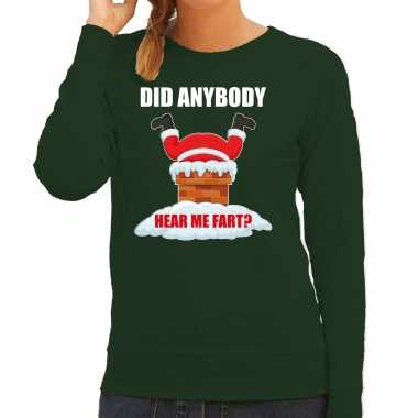 Fun kerstsweater / carnavalskleding did anybody hear my fart groen voor dames