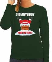 Fun kerstsweater carnavalskleding did anybody hear my fart groen voor dames