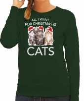 Kitten kerst sweater carnavalskleding all i want for christmas is cats groen voor dames