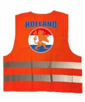 Veiligheidshesje holland met oranje leeuw ek wk supporter carnavalskleding voor volwassenen